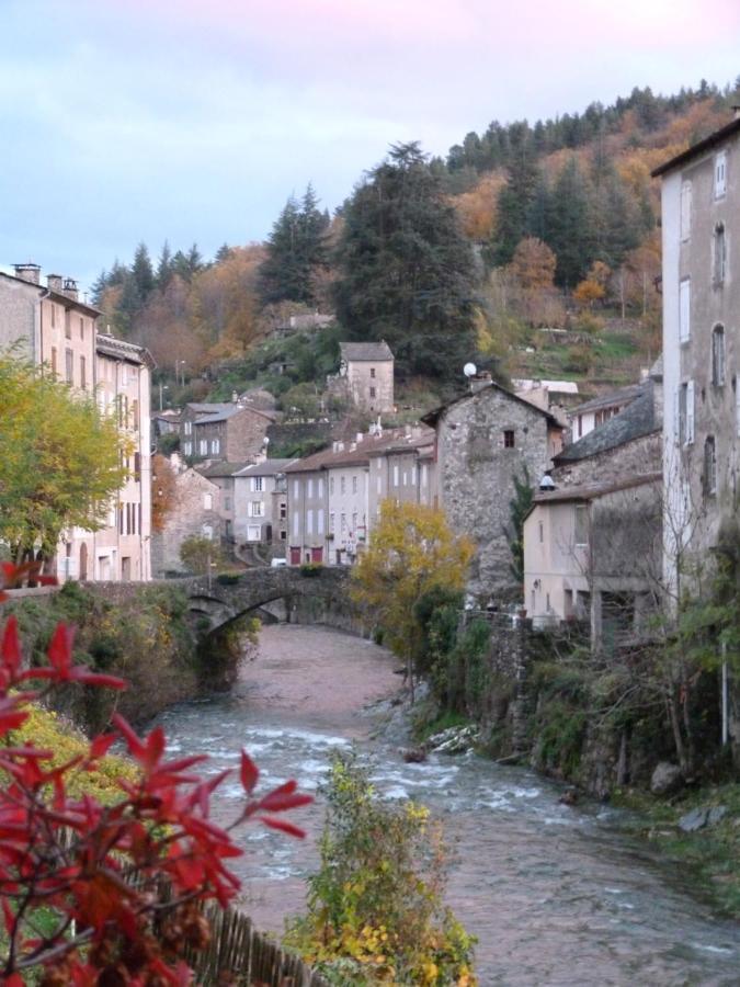 Cocon Des Cevennes - Pierre De Lune Saint-Andre-de-Valborgne Exterior photo